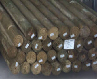 Treated Pine Logs 100mm